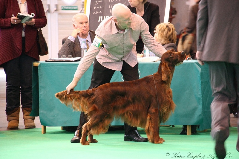 Crufts2011 407.jpg